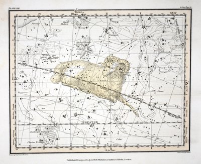 The Constellations (Plate XIII) Aries and Musca Borealis, from 